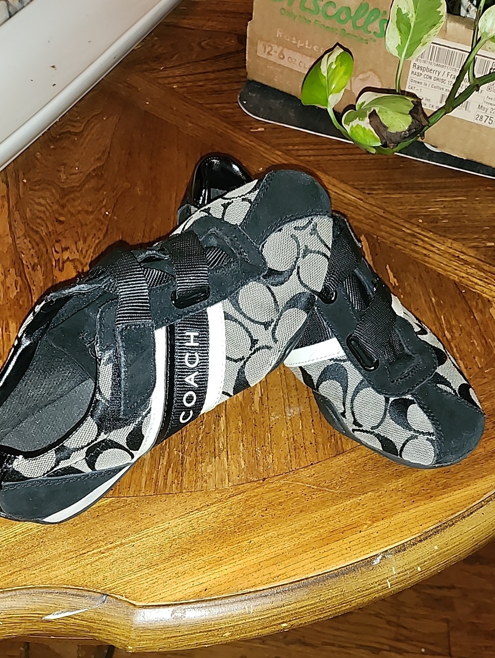RARE Coach Signature Logo Sneakers